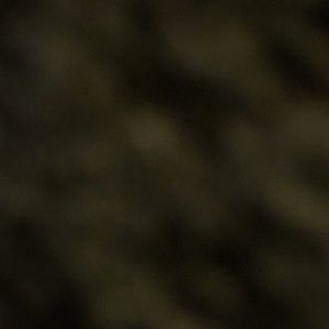 Meet your Posher, Noel